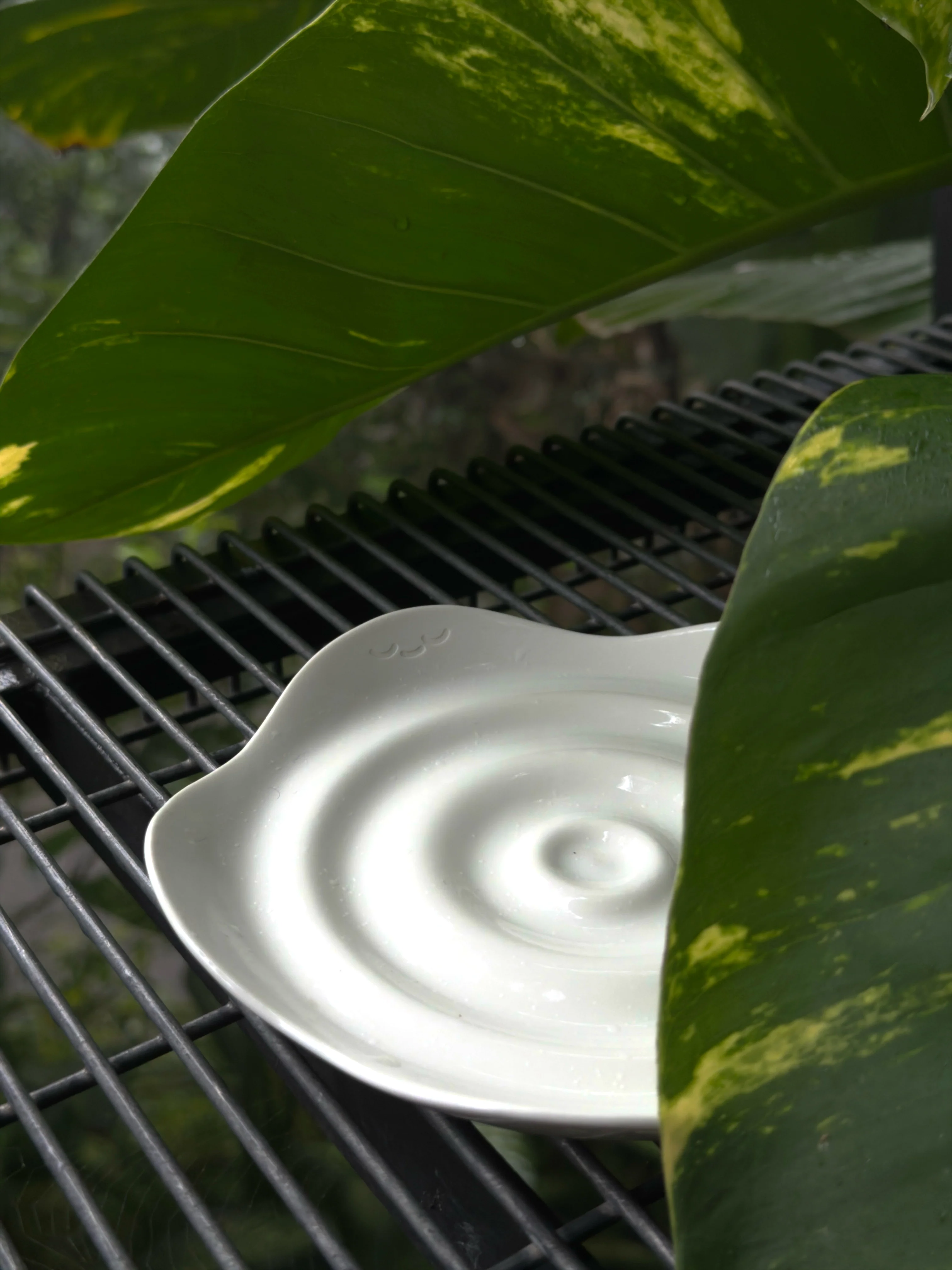 Dewy Ripple