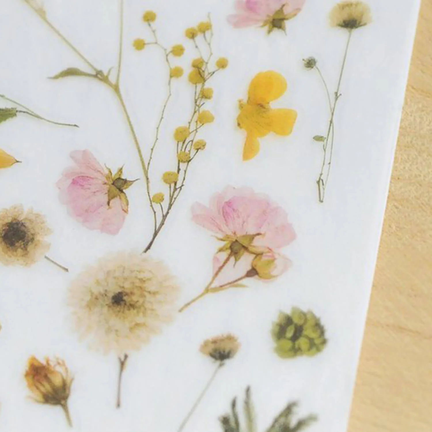 MU Craft: Print-On Sticker (Pressed Yellow Flower) - Image 5