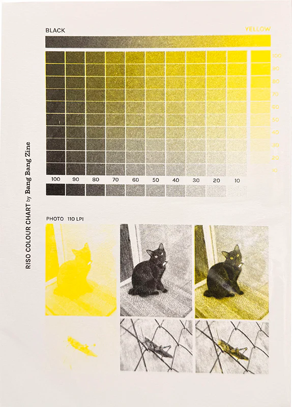 Riso Colour Chart (Yellow)
