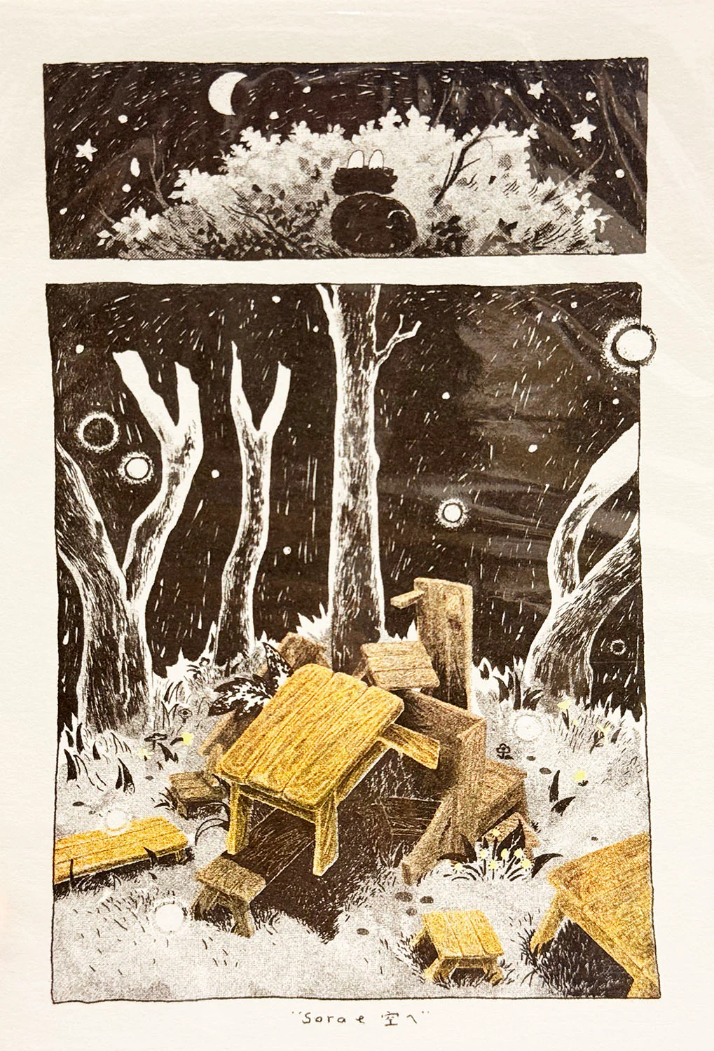 Risograph Postcard - Sora e